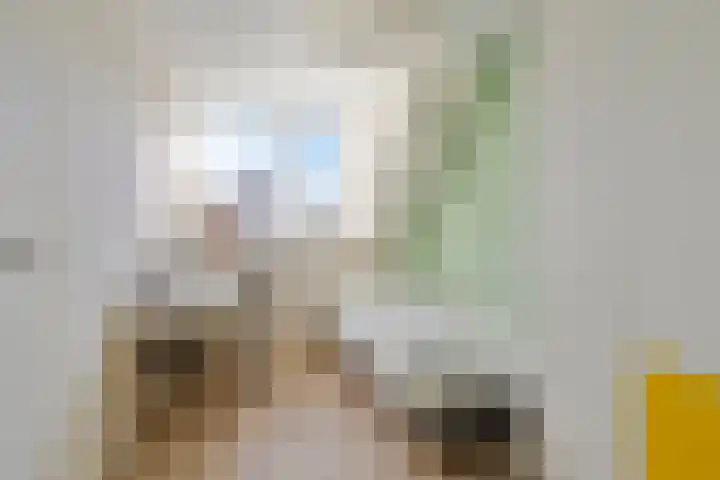 Schokker 77 Zeewolde thumbnail 20