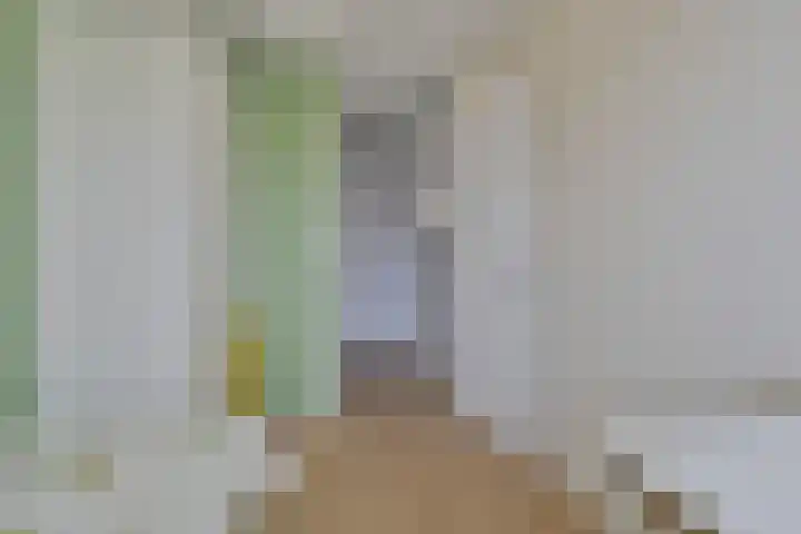 Schokker 77 Zeewolde thumbnail 21