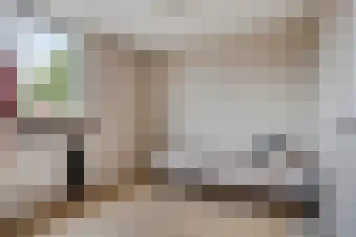 Schokker 77 Zeewolde thumbnail 24
