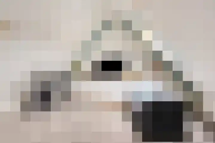 Schokker 77 Zeewolde thumbnail 25