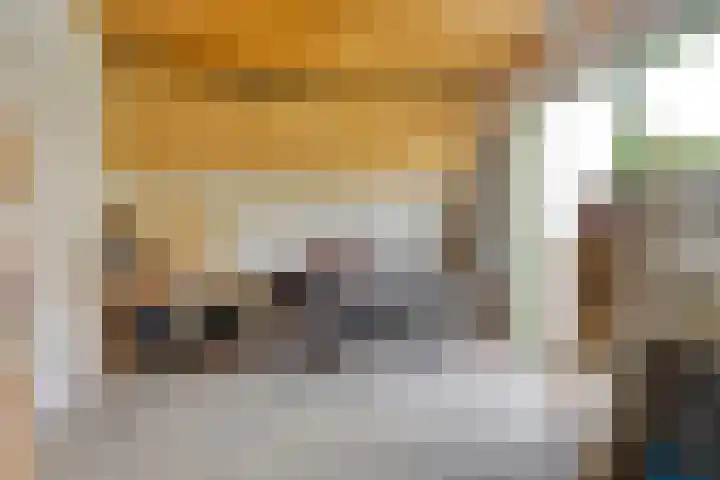 Schokker 77 Zeewolde thumbnail 27