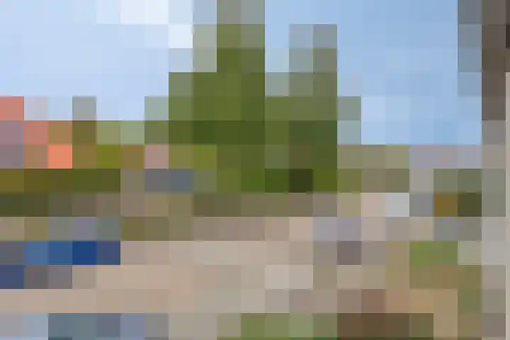 Schokker 77 Zeewolde thumbnail 28