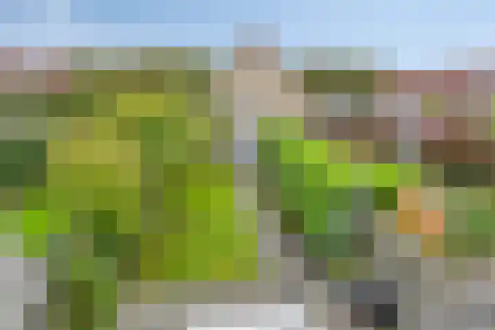Schokker 77 Zeewolde thumbnail 29