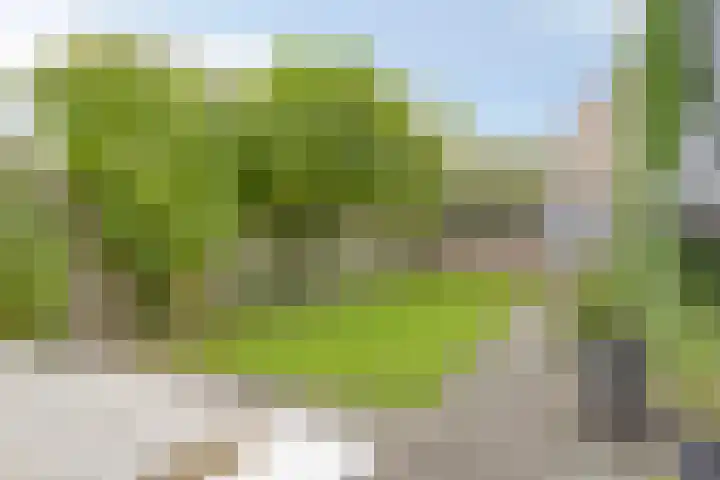 Schokker 77 Zeewolde thumbnail 31