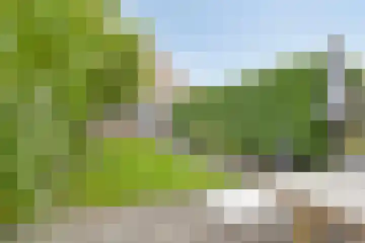 Schokker 77 Zeewolde thumbnail 32