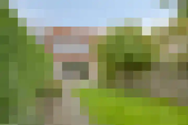 Schokker 77 Zeewolde thumbnail 33