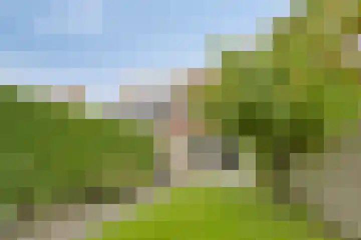 Schokker 77 Zeewolde thumbnail 34