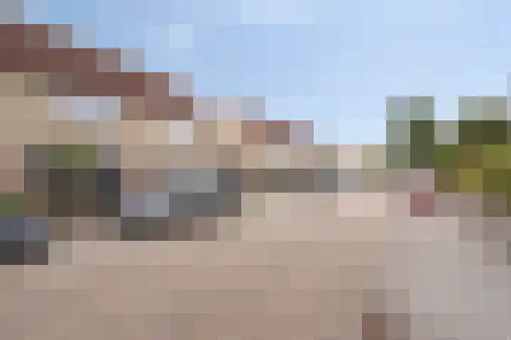 Schokker 77 Zeewolde thumbnail 36