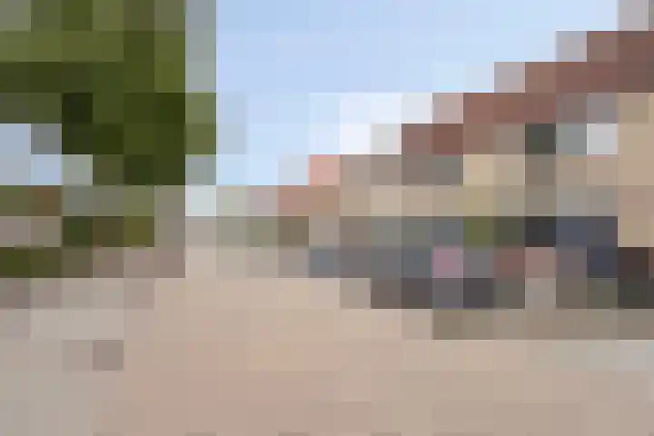 Schokker 77 Zeewolde thumbnail 37