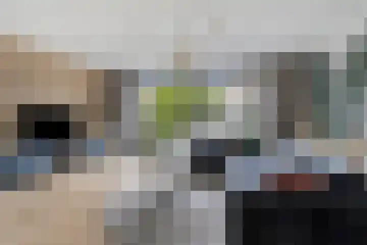 Schokker 77 Zeewolde thumbnail 8