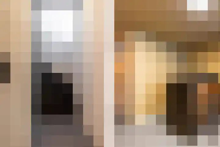 Schokker 8 Brielle thumbnail 10