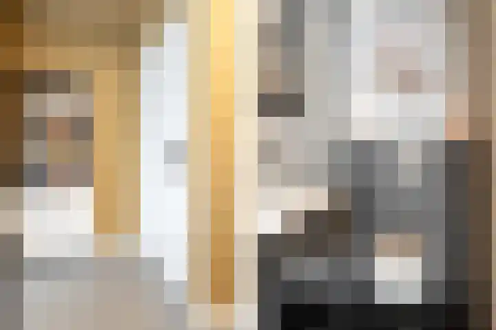 Schokker 8 Brielle thumbnail 11