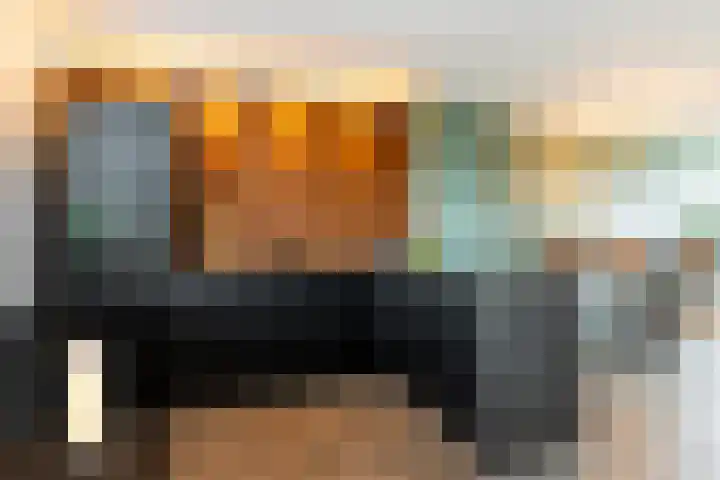 Schokker 8 Brielle thumbnail 12