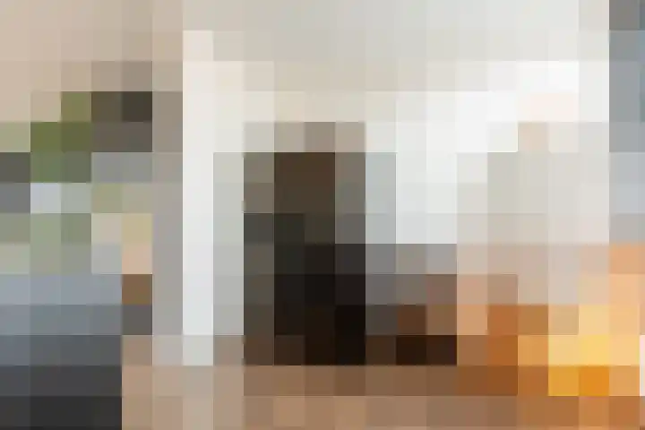 Schokker 8 Brielle thumbnail 14
