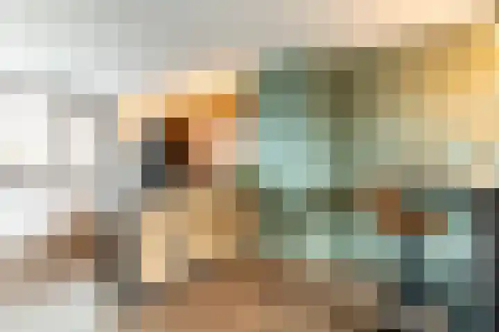 Schokker 8 Brielle thumbnail 16