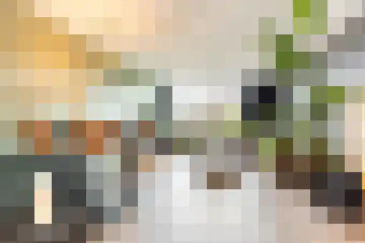 Schokker 8 Brielle thumbnail 17