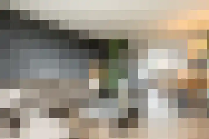 Schokker 8 Brielle thumbnail 18
