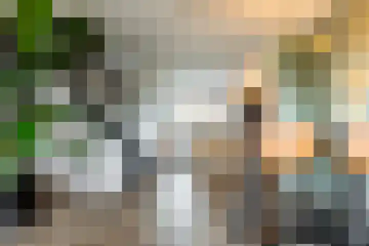 Schokker 8 Brielle thumbnail 19