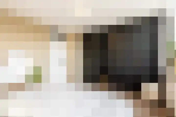 Schokker 8 Brielle thumbnail 23