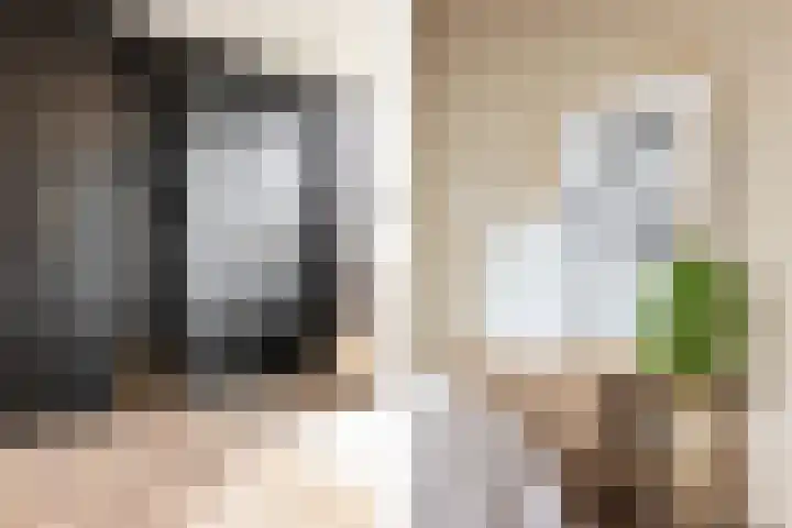 Schokker 8 Brielle thumbnail 24