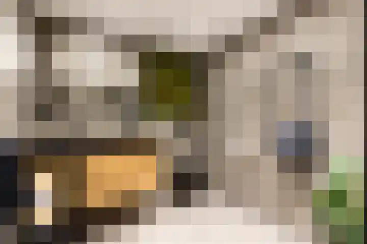 Schokker 8 Brielle thumbnail 25