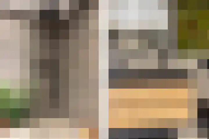 Schokker 8 Brielle thumbnail 26
