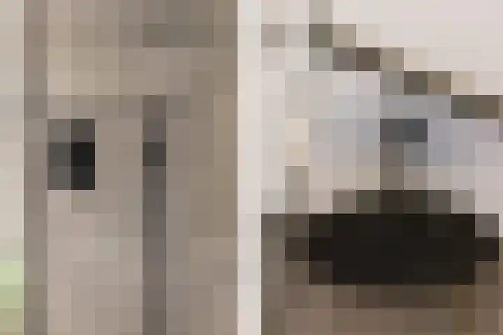Schokker 8 Brielle thumbnail 27