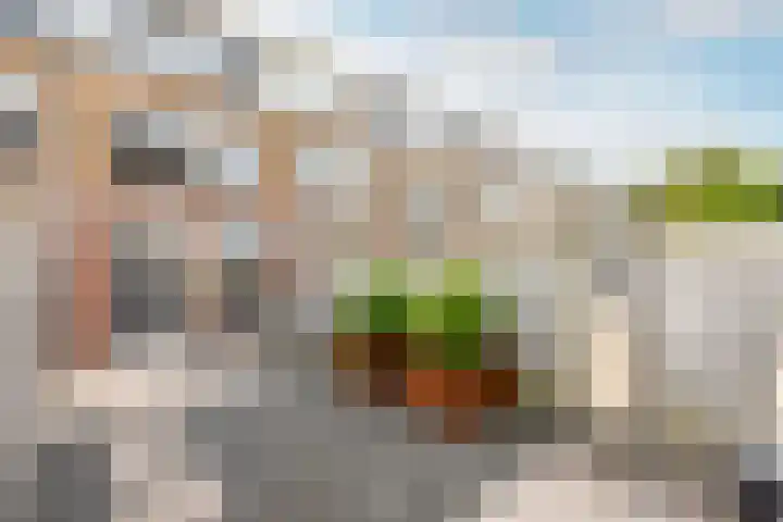 Schokker 8 Brielle thumbnail 30