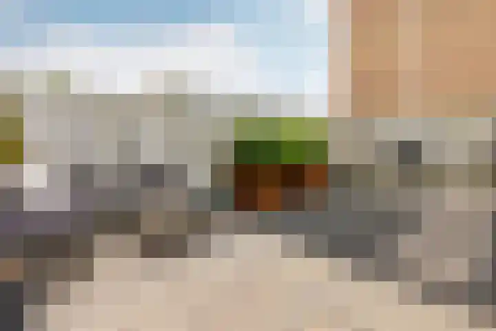 Schokker 8 Brielle thumbnail 31