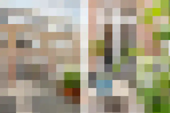 Schokker 8 Brielle thumbnail 32