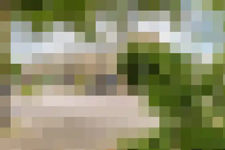 Schokker 8 Brielle thumbnail 34