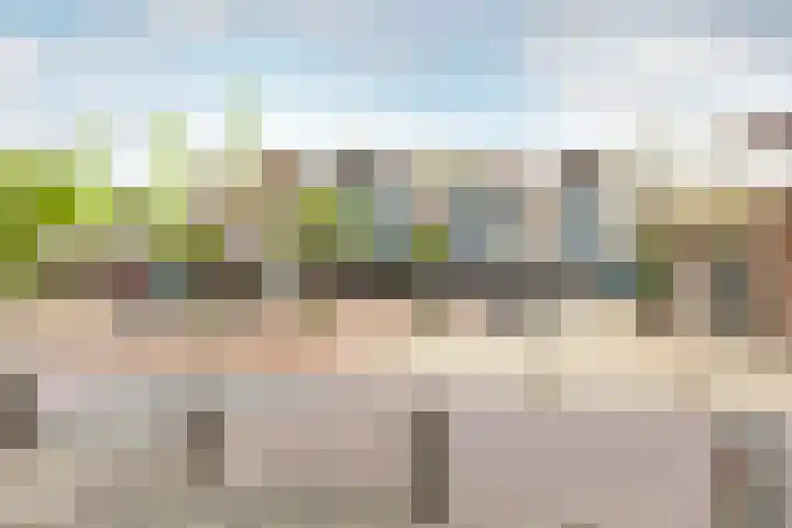 Schokker 8 Brielle thumbnail 35
