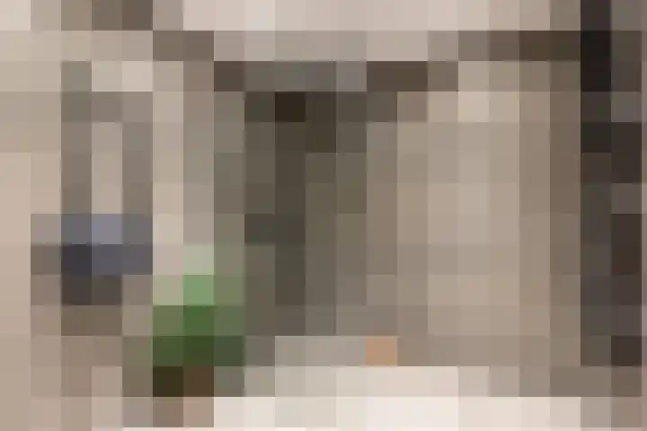 Schokker 8 Brielle thumbnail 5