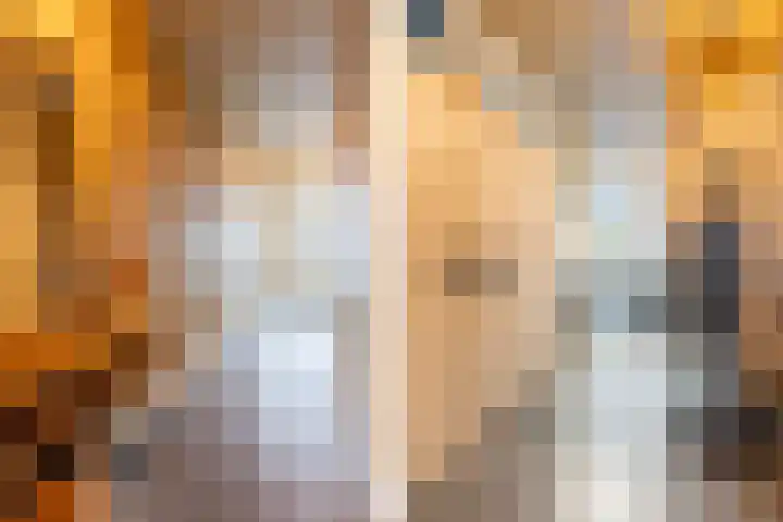 Schokker 8 Brielle thumbnail 6