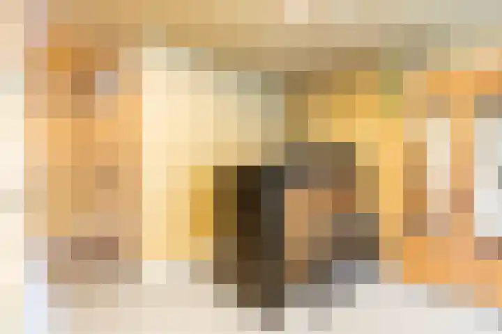 Schokker 8 Brielle thumbnail 8