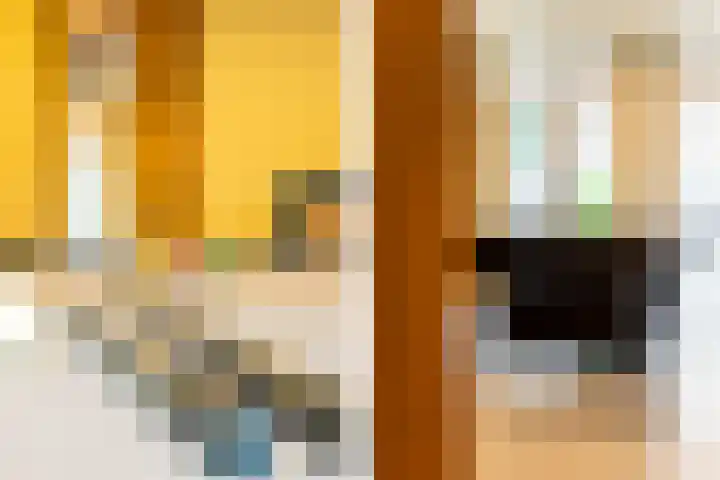 Schokker 8 Brielle thumbnail 9