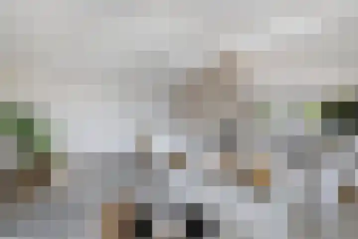 Schokkerhaven 25 Nagele thumbnail 12