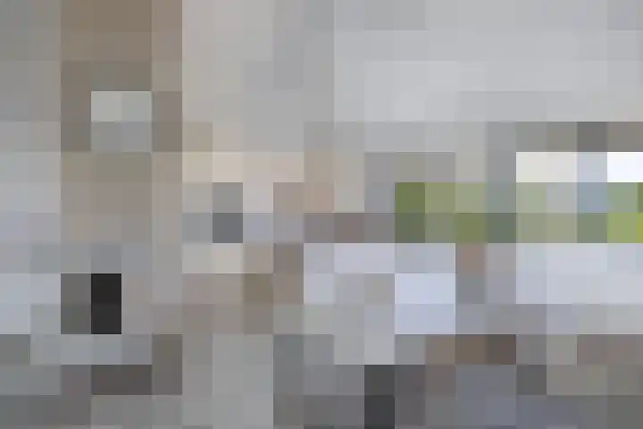 Schokkerhaven 25 Nagele thumbnail 16
