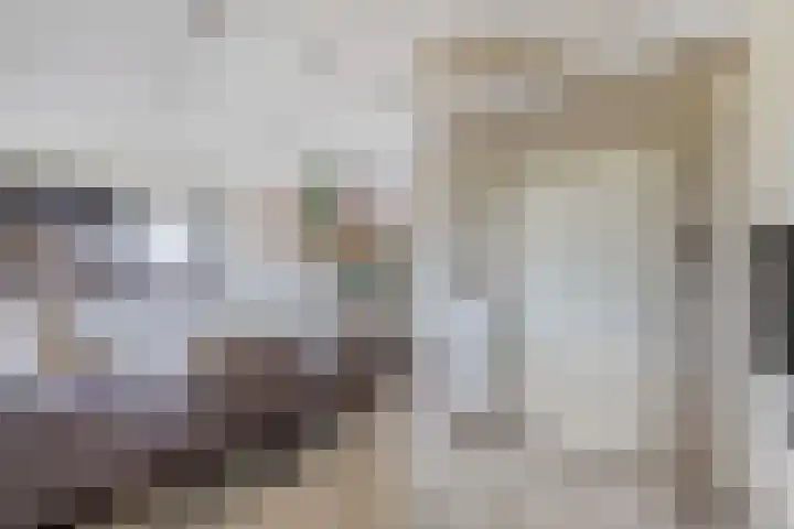 Schokkerhaven 25 Nagele thumbnail 21