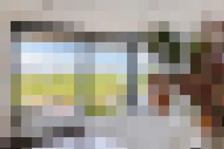 Schokkerhaven 25 Nagele thumbnail 22