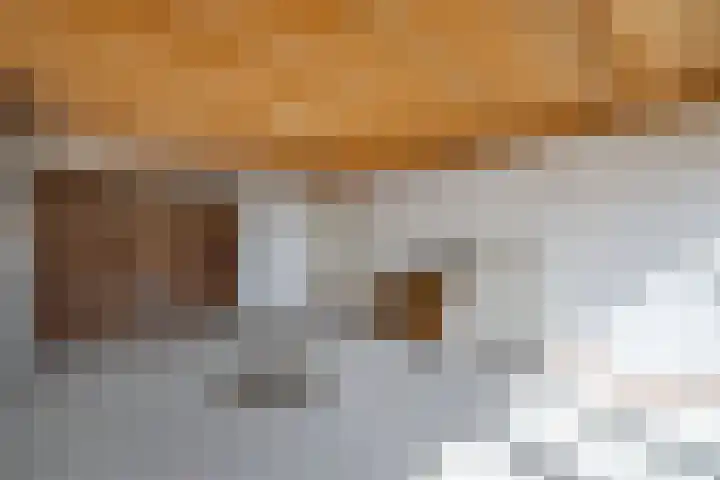 Schokkerhaven 25 Nagele thumbnail 33