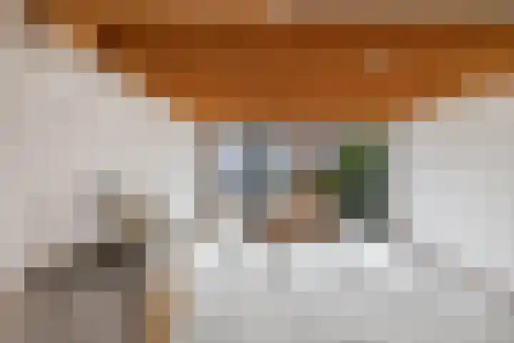 Schokkerhaven 25 Nagele thumbnail 35