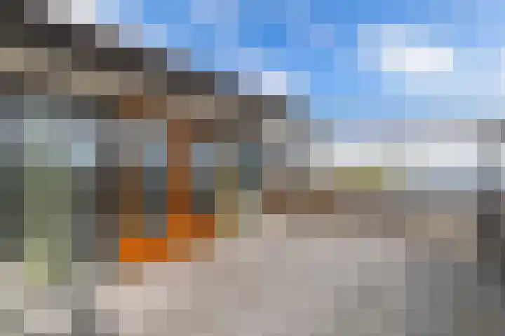 Schokkerhaven 25 Nagele thumbnail 38