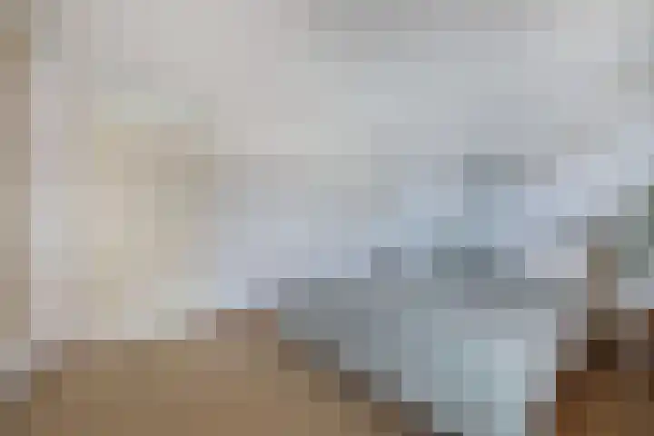 Schokkerhaven 25 Nagele thumbnail 4