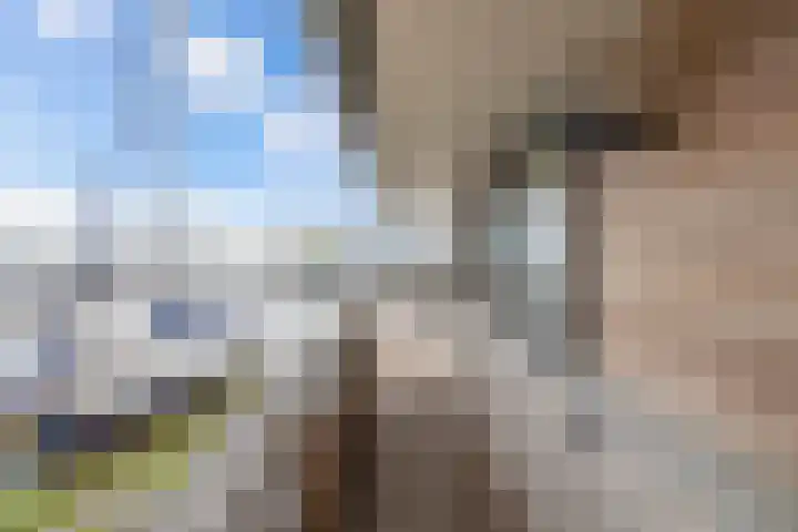 Schokkerhaven 25 Nagele thumbnail 40
