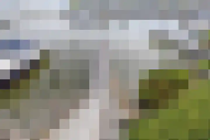 Schokkerhaven 25 Nagele thumbnail 41