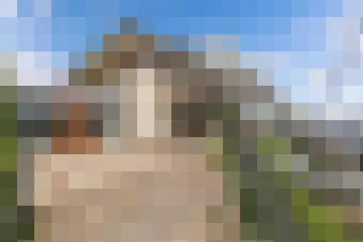 Schokkerhaven 25 Nagele thumbnail 42