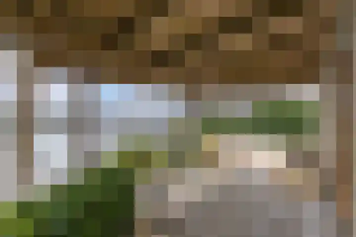 Schokkerhaven 25 Nagele thumbnail 44