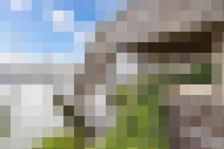 Schokkerhaven 25 Nagele thumbnail 45
