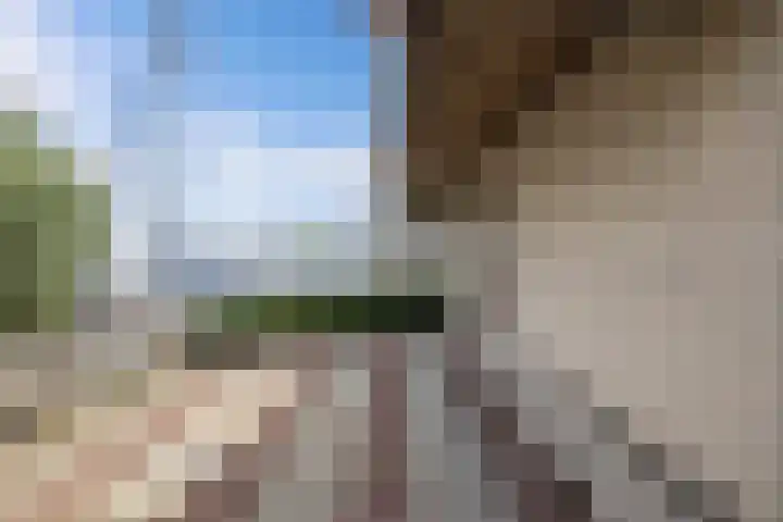 Schokkerhaven 25 Nagele thumbnail 46